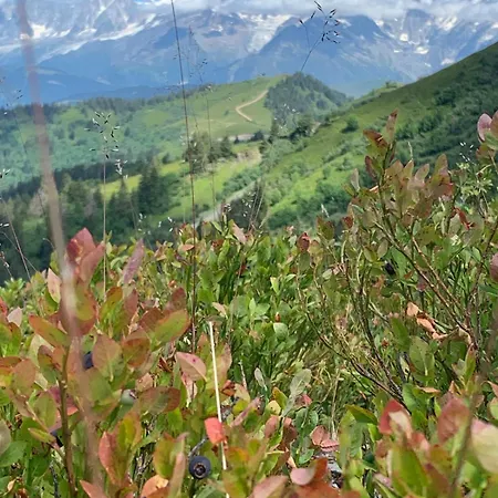 Le Char La Giettaz